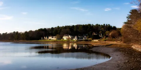 Wiggly Bridge and Steedman Woods