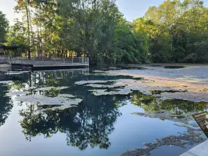 Howard Springs Nature Park