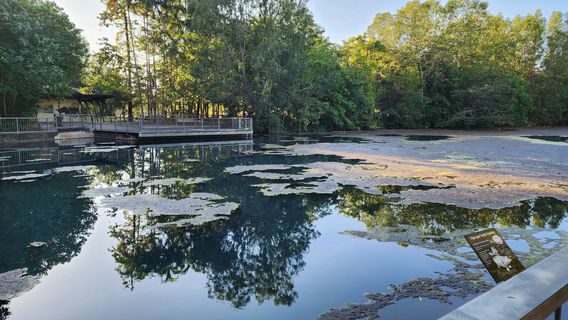 Howard Springs Nature Park