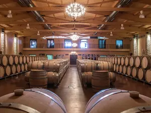 Emilio Moro Winery