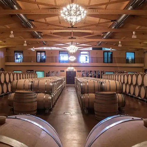 Emilio Moro Winery