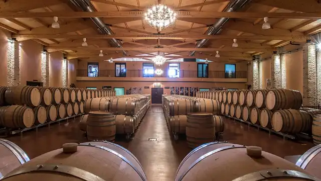 Emilio Moro Winery