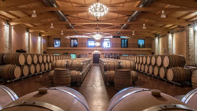 Emilio Moro Winery