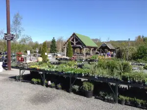 Derwen Garden Centre