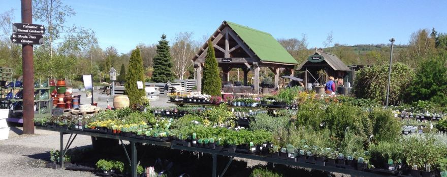 Derwen Garden Centre