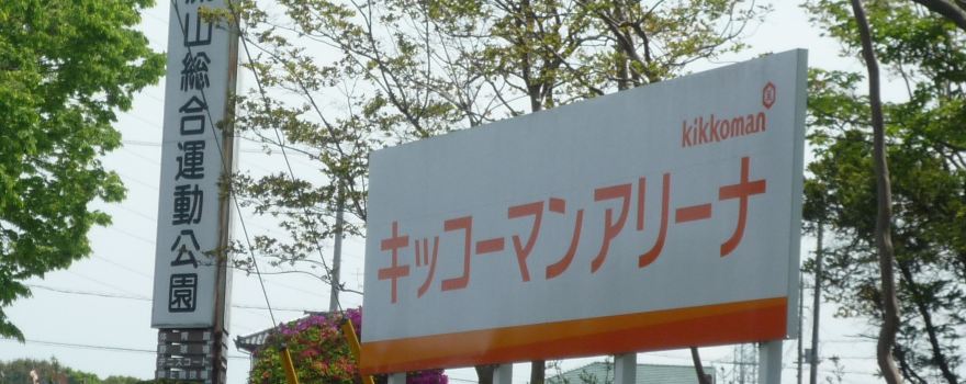 Nagareyama City General Fitness Park