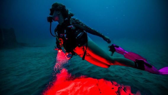 Aquatica Underwater Adventures
