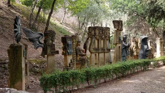 Bosco di San Francesco