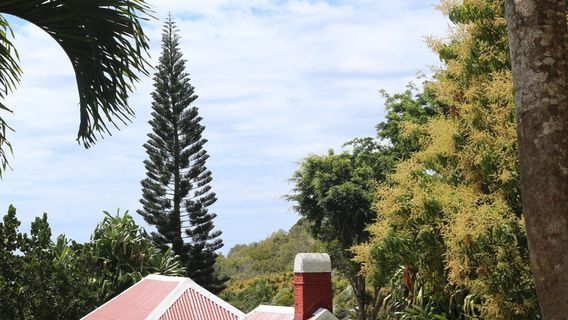 Harry L. Johnson Museum