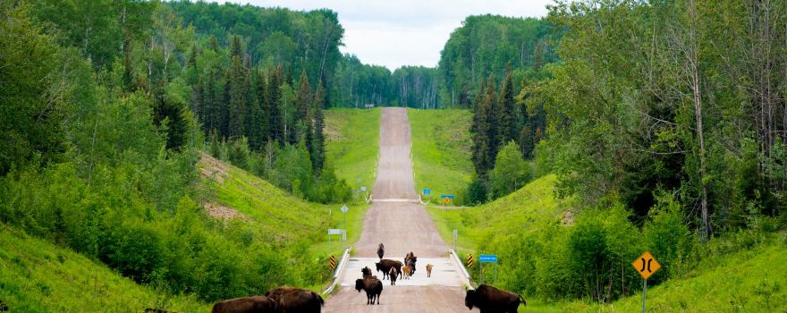 Fort Liard