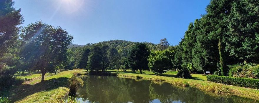 Mountain Fresh Trout & Salmon Farm