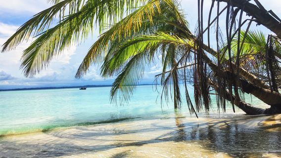 Boteros de Bastimentos