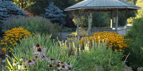 Naturescaping Wildlife Botanic Gardens
