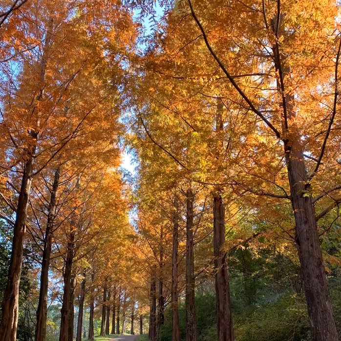 Tiket flight Sofia ke Jinju