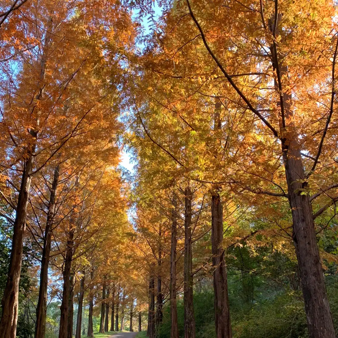 경상남도수목원 주변 호텔