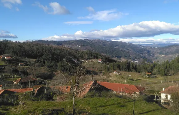 西羅利克百思圖