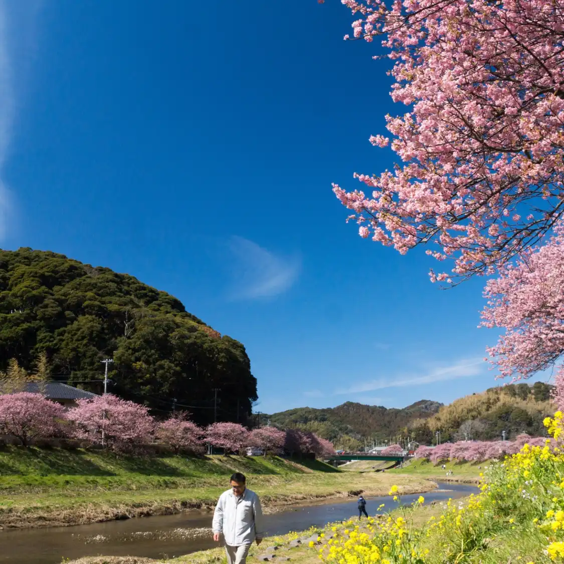 Hotels near Aono River Cherry Blossoms