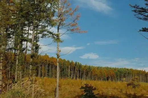 Hotels near Yatsugatake Highland Larch Forest