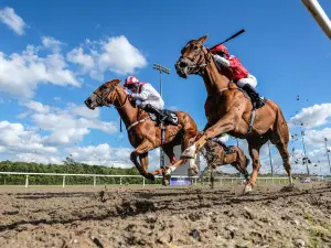 Chelmsford City Racecourse