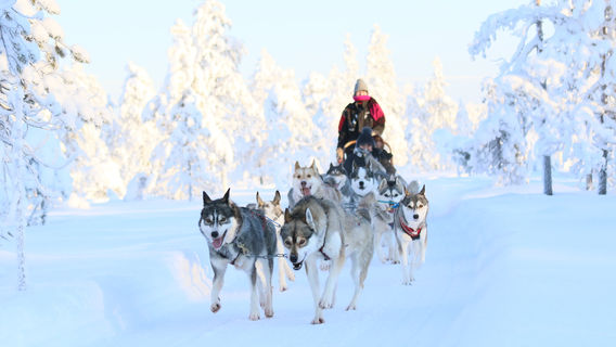 Rovaniemi