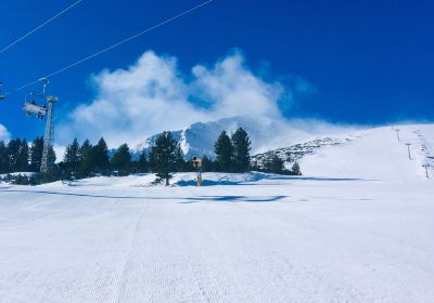 Method Snow School