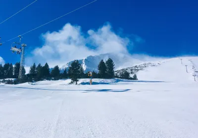 Method Snow School