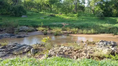Mashonaland Central