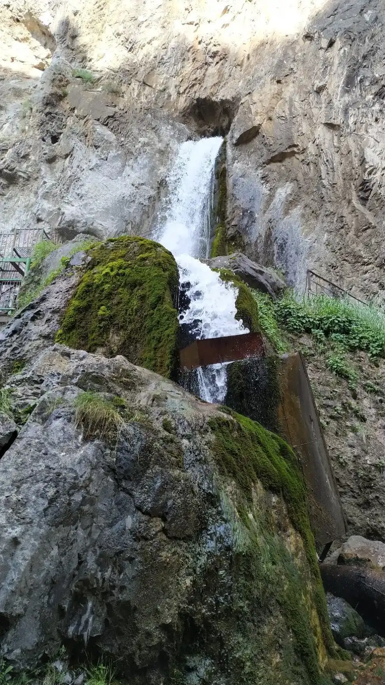 Hotels in Rajon Nookat