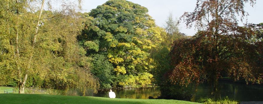 Howard Park