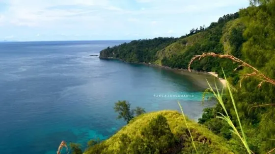 Pulisan Beach