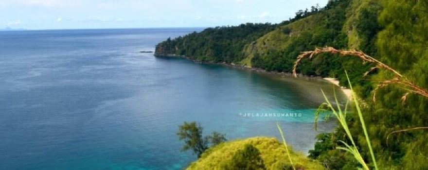 Pulisan Beach