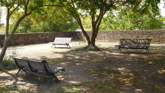 Park Théodore Monod