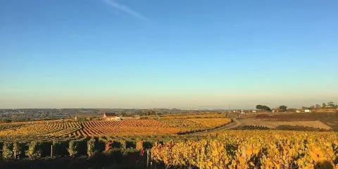 Domaine des Roseraies