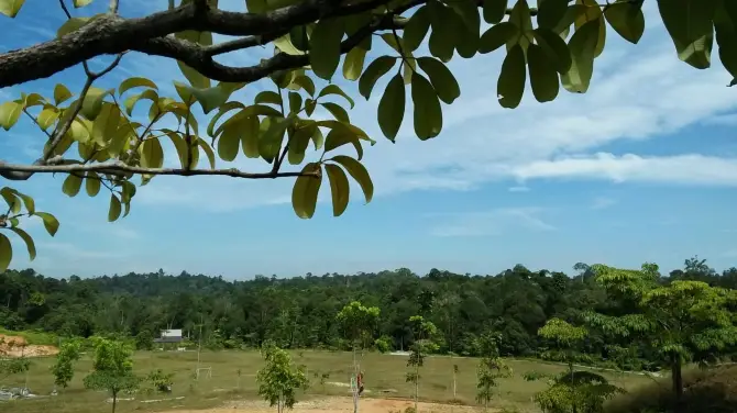 2_Taman Hutan Raya Sultan Syarif Hasyim