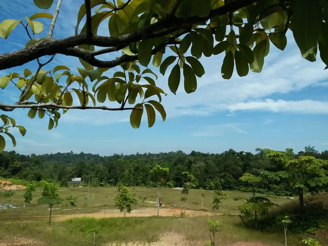 2_Taman Hutan Raya Sultan Syarif Hasyim