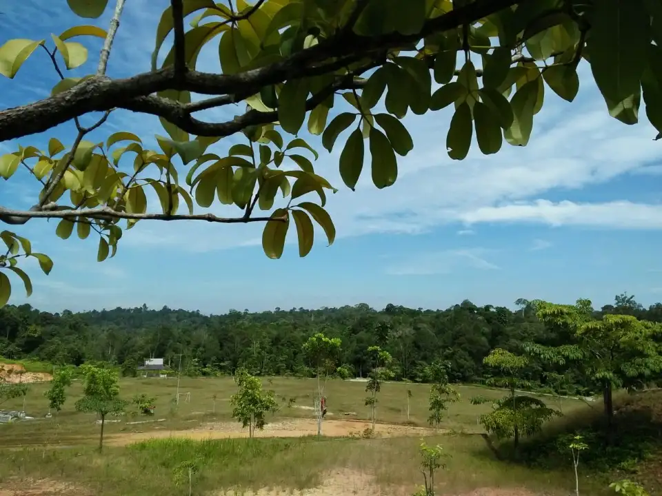 2_Taman Hutan Raya Sultan Syarif Hasyim