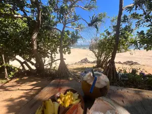 Ecotrax Fiji