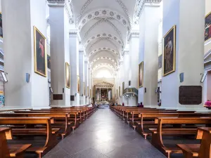 Vilnius Cathedral