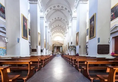 Vilnius Cathedral