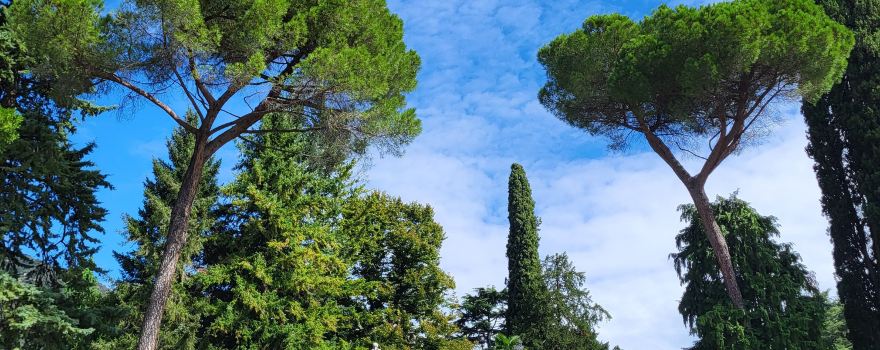 Parco Teresio Olivelli