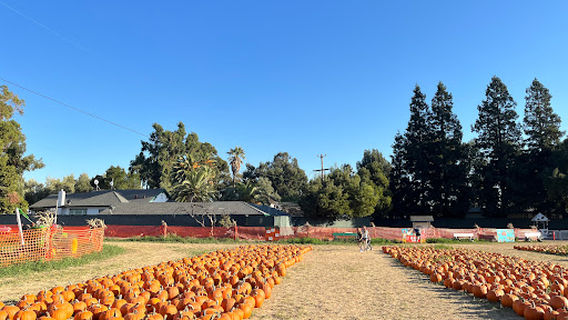 Livermore
