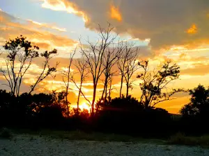 CAMPING NATURA