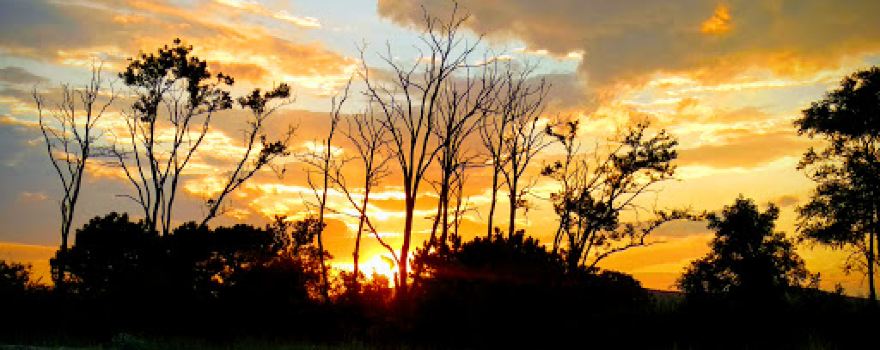 CAMPING NATURA
