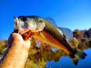 Miami State Fishing Lake