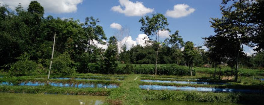 Kelompok Tani Sumber Mina