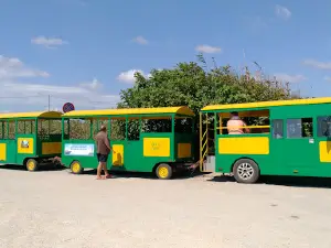 Punta Penna Grossa Beach