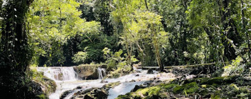 Nacimiento de Pulha