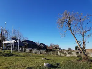 Petar Kočić House