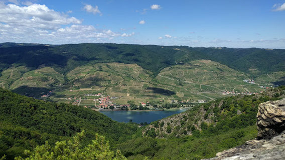 Rossatz