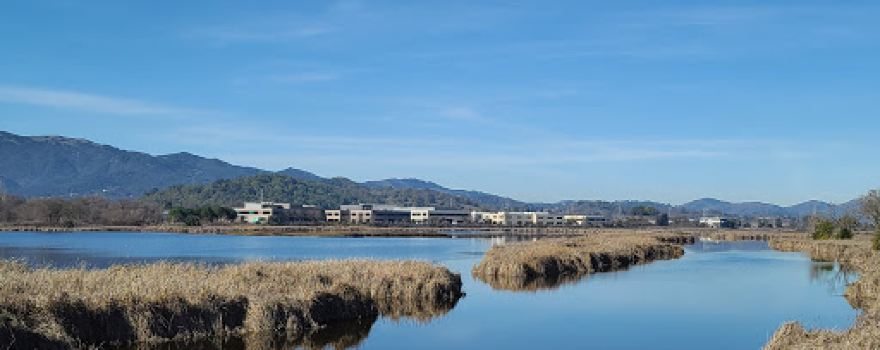 Hamilton Wetlands